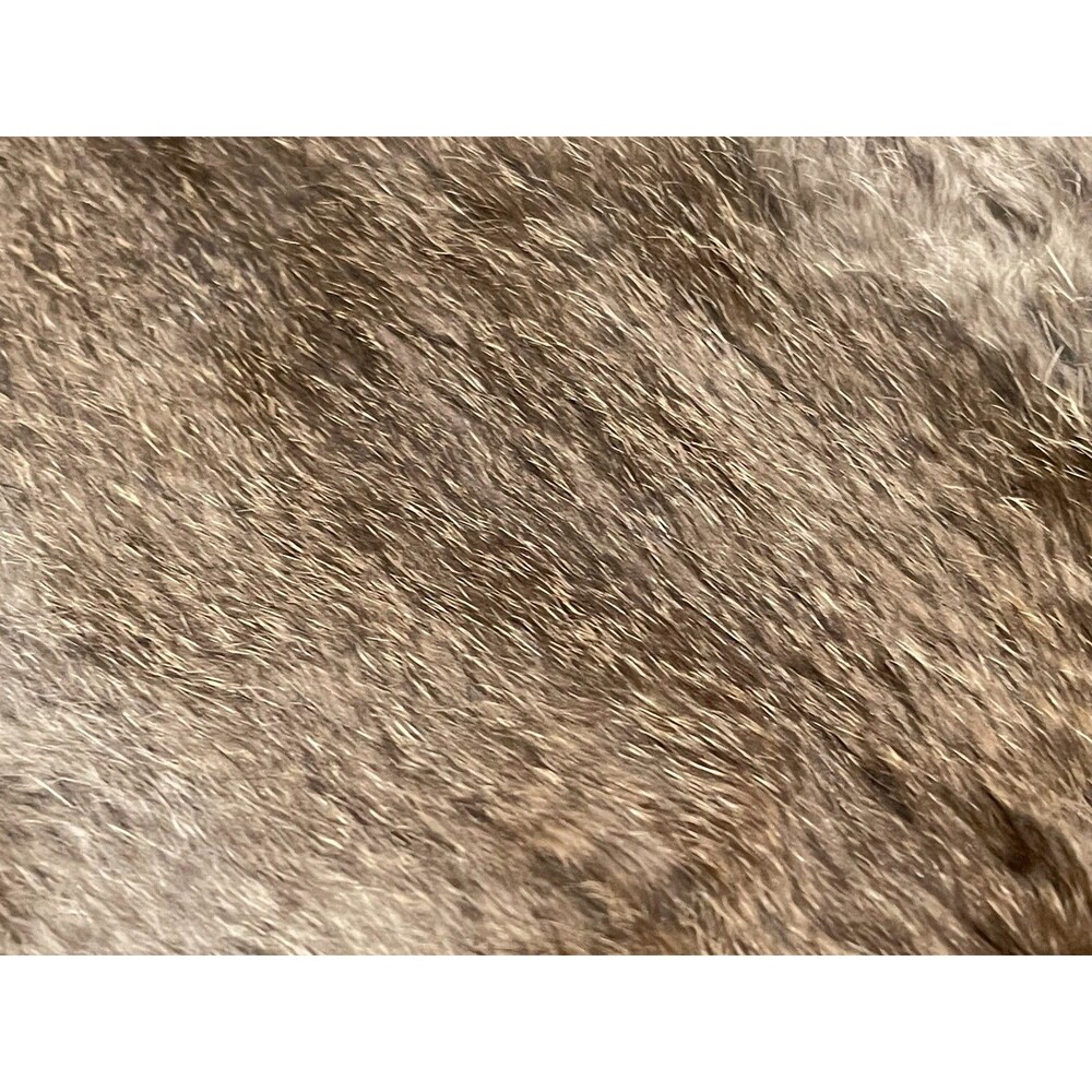Genuine Rabbit Pelt Gray Brown Tanned Real Fur Hide Taxidermy Oddities Curios - Picture 5 of 5